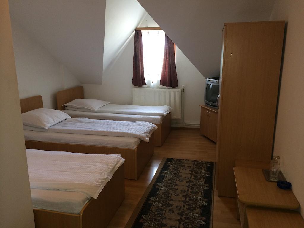 Pensiunea Simina Caransebes Room photo